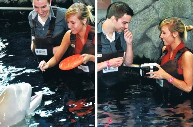 7 cereri in casatorie care te vor uimi prin originalitatea lor