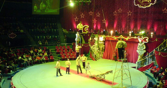 Circul Globus s-ar putea desfiinta