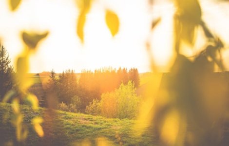 Meteorologii au prelungit codul rosu de canicula pentru 2 judete. Cod portocaliu si cod galben, in restul tarii