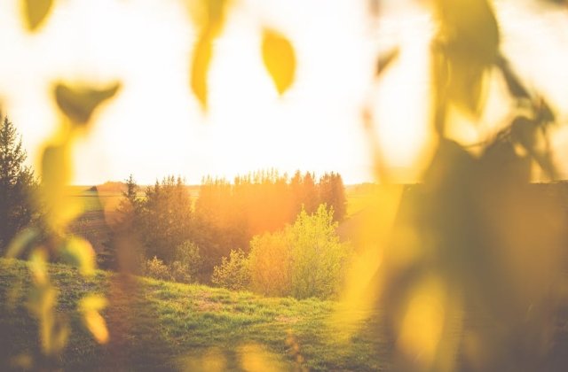 Meteorologii au prelungit codul rosu de canicula pentru 2 judete. Cod portocaliu si cod galben, in restul tarii