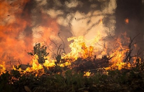 Incendii de vegetatie in Europa din pricina caniculei