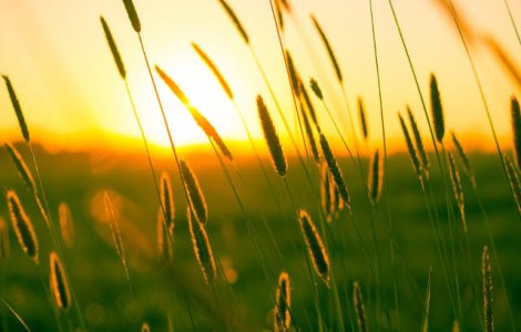 Codul PORTOCALIU de canicula, prelungit in sase judete si pentru vineri. Cod GALBEN, in alte 24 de judete