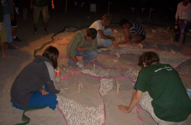 Festivalul Stufstock, programat la sfarsitul verii in Vama Veche