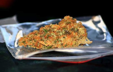 Boc: Fenomenul produselor etnobotanice nu va disparea niciodata!