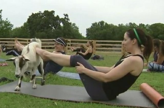 10+ iluzii optice care iti vor pune vederea la incercare