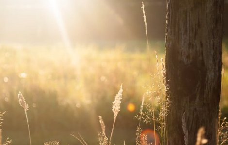 O noua zi caniculara in majoritatea tarii. De sambata seara, vom avea ploi torentiale si vijelii