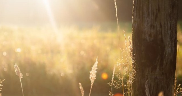 O noua zi caniculara in majoritatea tarii. De sambata seara, vom avea ploi torentiale si vijelii