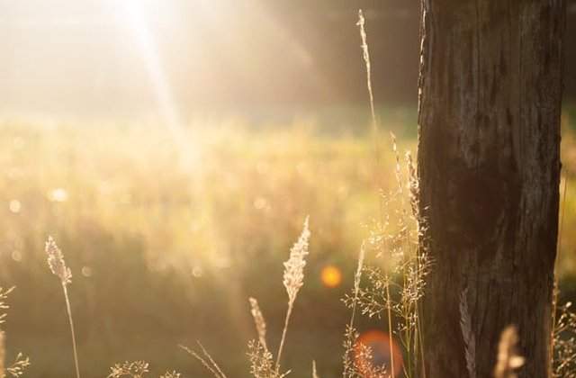 O noua zi caniculara in majoritatea tarii. De sambata seara, vom avea ploi torentiale si vijelii