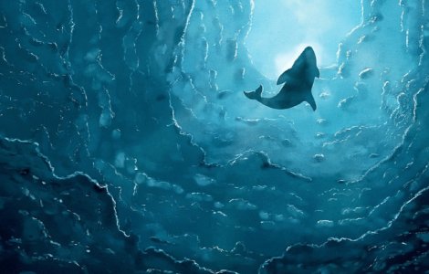 5 lucruri interesante pe care nu le stiai despre balenele albastre