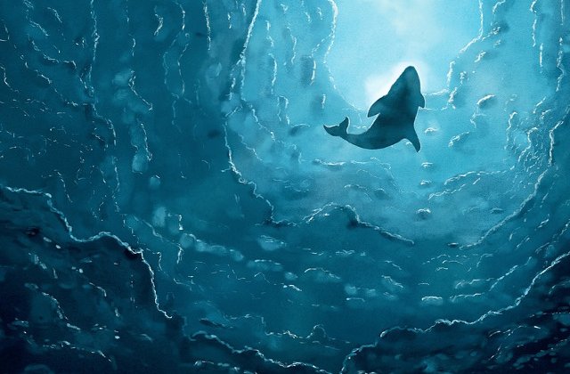 5 lucruri interesante pe care nu le stiai despre balenele albastre