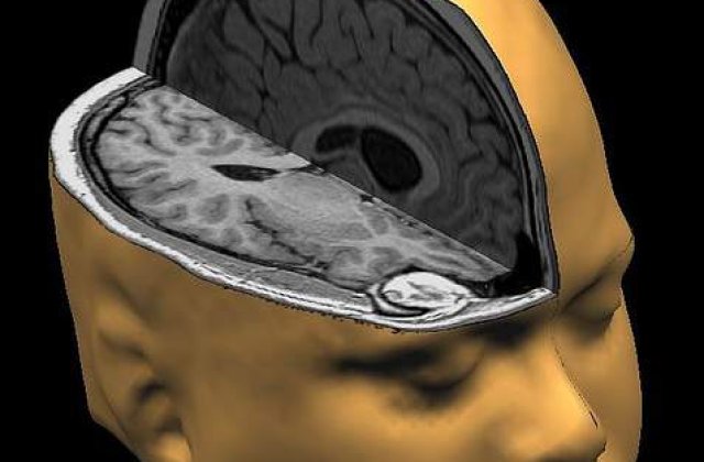 S-a infiintat Consiliul Roman al Creierului