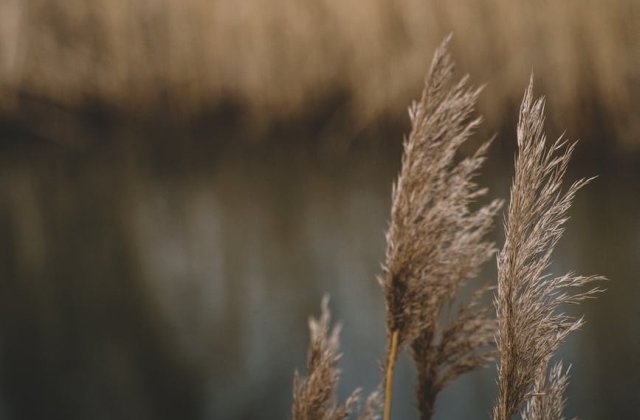 [Update] Cod galben de vant in opt judete