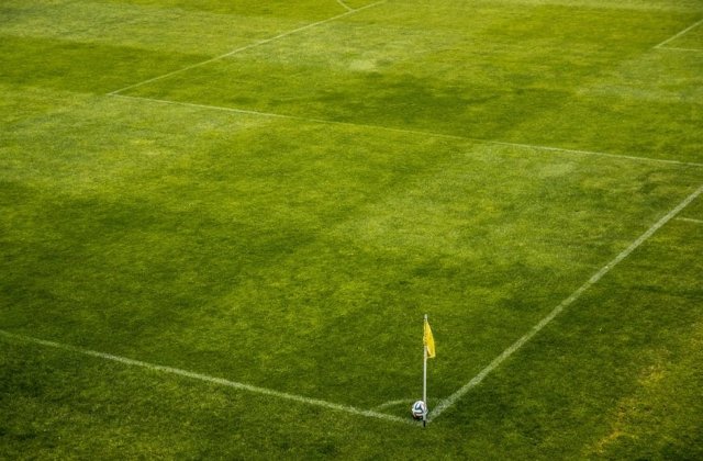 PMB: Gazonul de pe Arena Nationala va fi schimbat