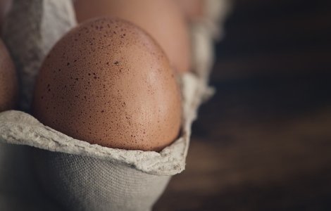 Germania: Polemica pe tema amplorii scandalului oualor contaminate cu fipronil