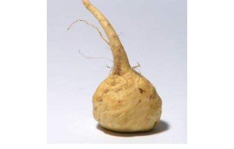 " Viagra naturala", ginsengul peruanilor!