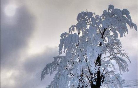 Ne asteapta vreme de iarna autentica!