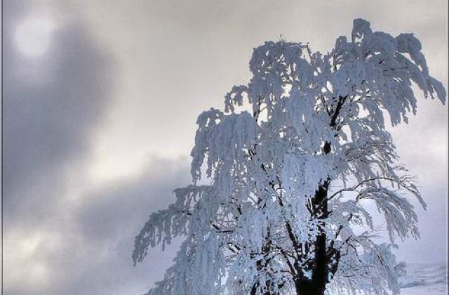 Ne asteapta vreme de iarna autentica!