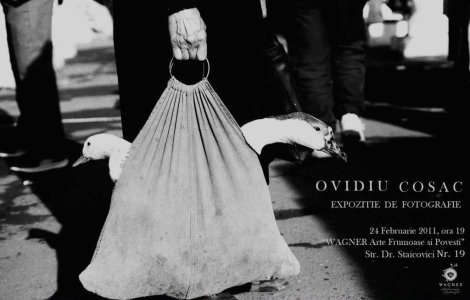 Expozitie foto Ovidiu Cosac, la Wagner Maison de la Porcelaine