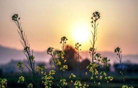 Temperaturi de 34-36 de grade in aproape toata tara, in acest weekend