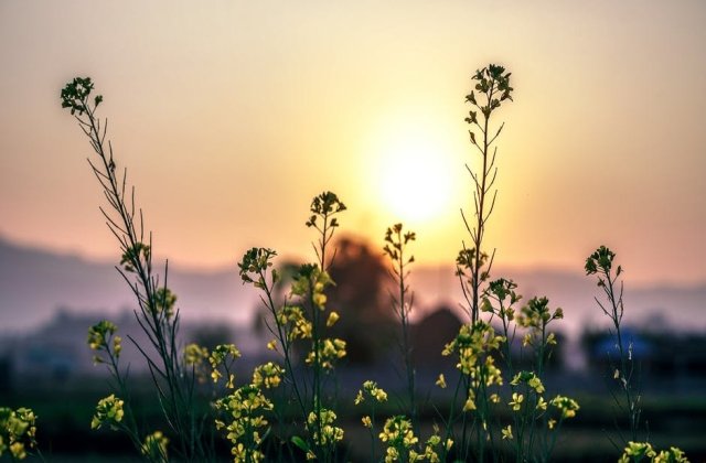 Temperaturi de 34-36 de grade in aproape toata tara, in acest weekend