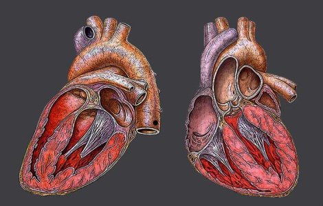Incredibila poveste a omului cu doua inimi