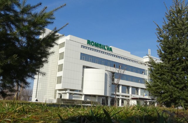 Romsilva: Volumul taierilor ilegale in fondul forestier de stat inregistreaza o noua scadere