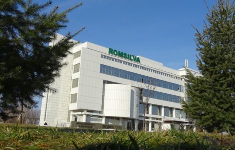 Romsilva: Volumul taierilor ilegale in fondul forestier de stat inregistreaza o noua scadere