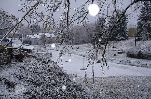 Ninsorile se intetesc in toata tara