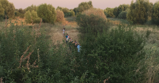 Destinatie: educatie! - Poteca Biodiversitatii Urbane din Parcul Natural Vacaresti este deschisa vizitatorilor, inclusiv cu tururi ghidate