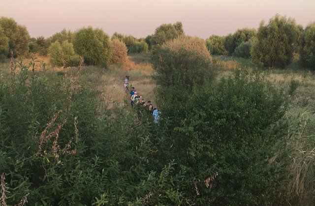 Destinatie: educatie! - Poteca Biodiversitatii Urbane din Parcul Natural Vacaresti este deschisa vizitatorilor, inclusiv cu tururi ghidate