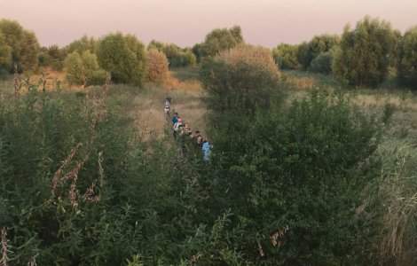 Destinatie: educatie! - Poteca Biodiversitatii Urbane din Parcul Natural Vacaresti este deschisa vizitatorilor, inclusiv cu tururi ghidate