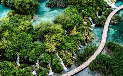 10 fotografii care surprind...