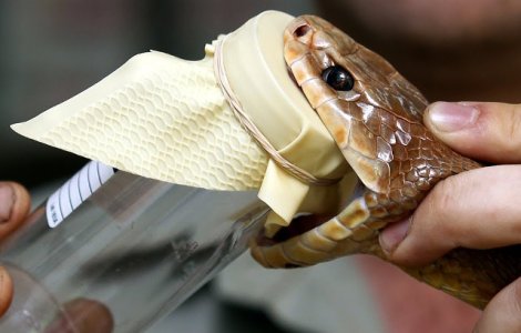  Top  Top 10 cele mai scumpe lichide din intreaga lume