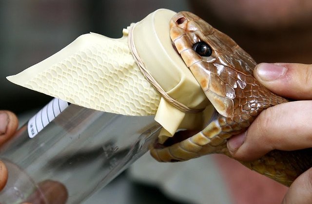 Top 10 cele mai scumpe lichide din intreaga lume