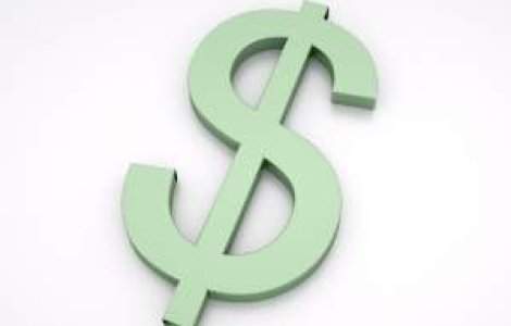 Cat pariaza un rege pe an?