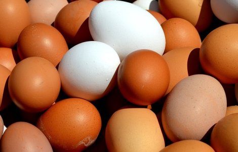 Un nou insecticid a fost descoperit in oua. Este toxic