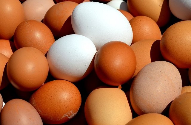 Un nou insecticid a fost descoperit in oua. Este toxic