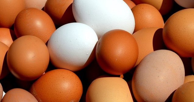 Un nou insecticid a fost descoperit in oua. Este toxic