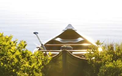 RowmaniaFest: Festivalul...