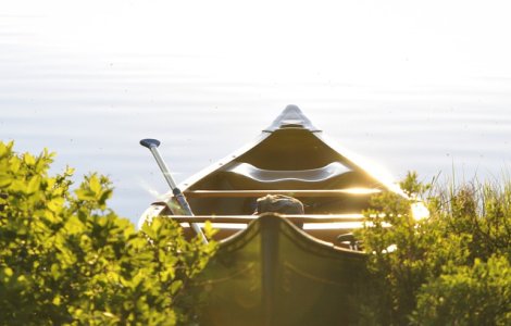 RowmaniaFest: Festivalul International al Barcilor cu Vasle revine la Tulcea