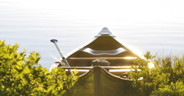 RowmaniaFest: Festivalul International al Barcilor cu Vasle revine la Tulcea