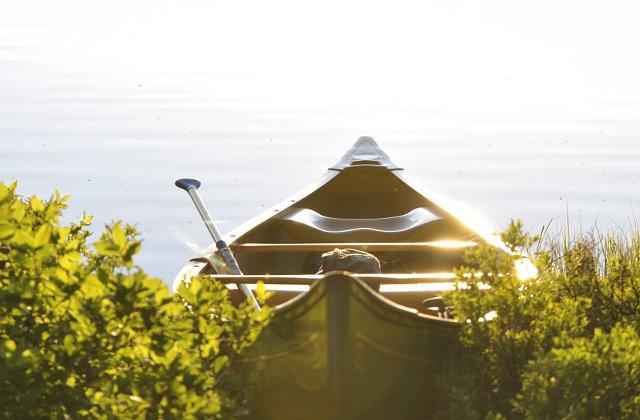 RowmaniaFest: Festivalul International al Barcilor cu Vasle revine la Tulcea