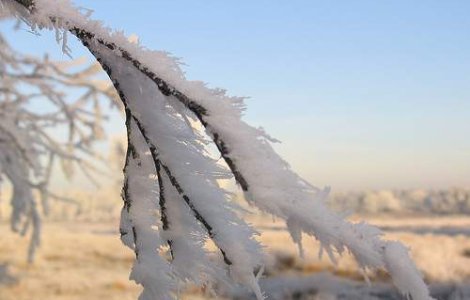 Inceput geros de primavara