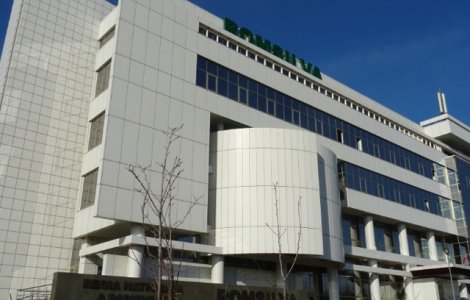 Romsilva respinge acuzatiile Greenpeace si condamna actiunea in forta a organizatiei