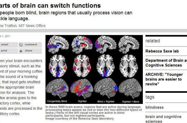 Parti ale creierului pot face schimb de functii