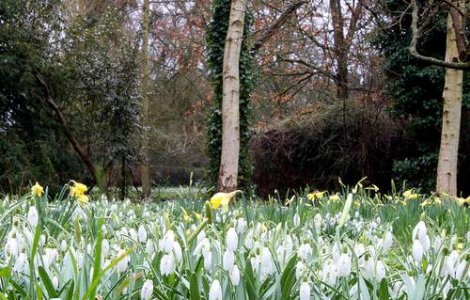 Prognoza meteo pentru primavara 2011