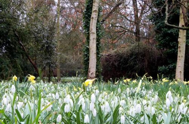 Prognoza meteo pentru primavara 2011