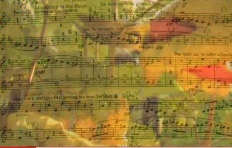  Video  Muzica face vinul mai bun, spun austriecii