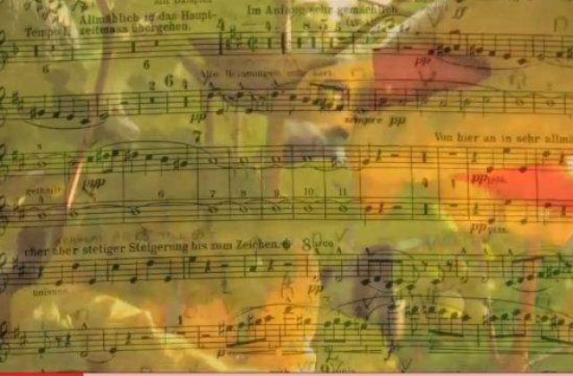 [VIDEO] Muzica face vinul mai bun, spun austriecii