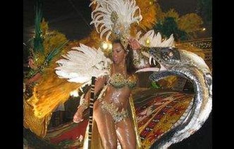  Top  Brazilia, cuprinsa de febra carnavalului!